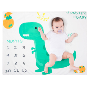 Monthly Calendar Commemorate Milestone Newborn Gift Unisex Organic Knit Baby Blanket